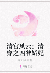 清宫风云：清穿之四爷娇妃